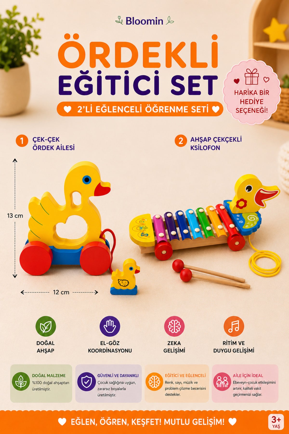 2li Ahşap Eğitici Ördekli Oyun Seti